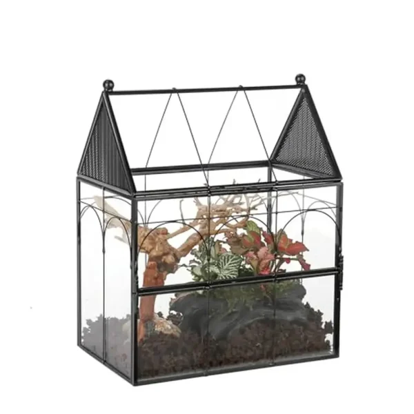 Small Glass Terrarium